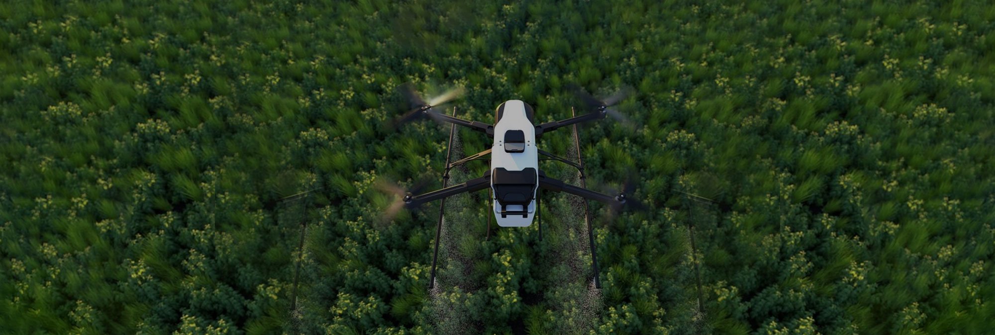 Crop Care from Above: Exploring the Benefits of Agricultural Drones