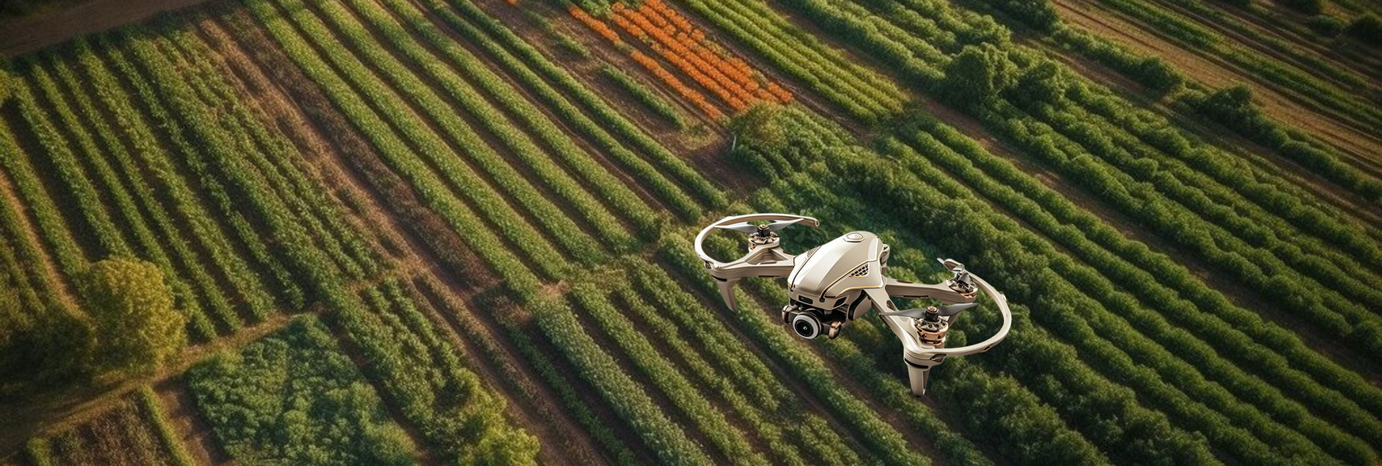 Flying High: The Future of Agriculture with Drones