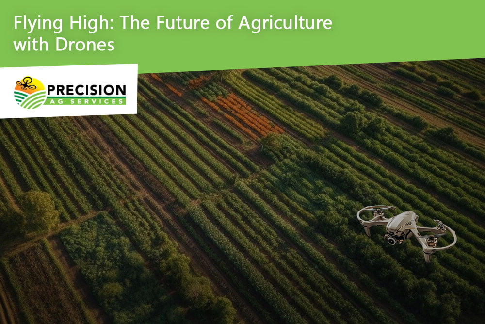 Flying High The Future of Agriculture with Drones