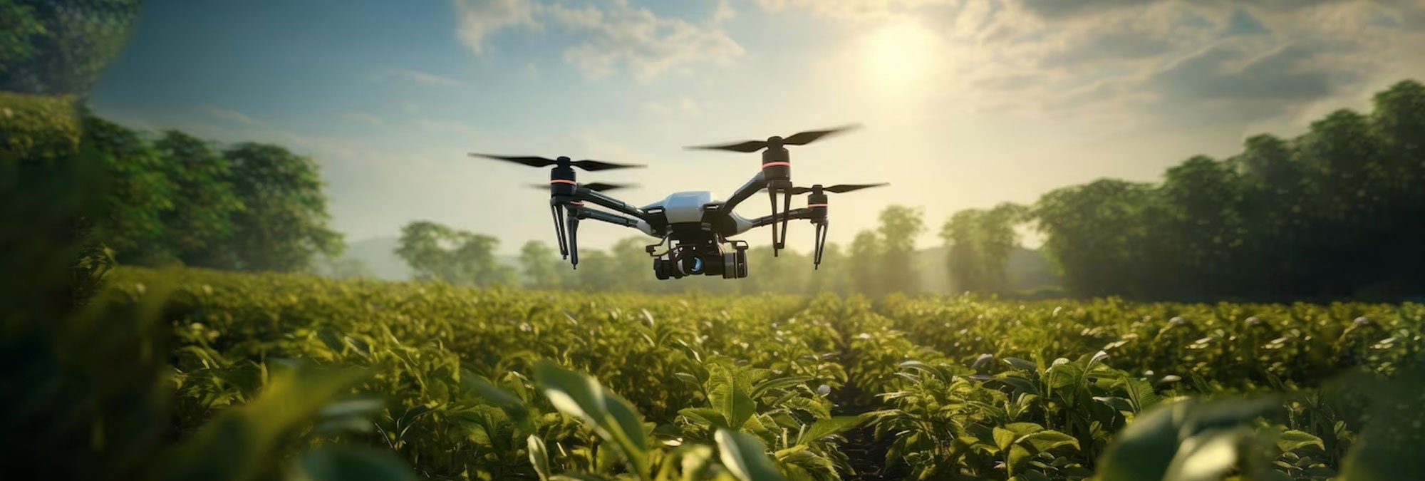 Soar to Success: How Agricultural Drones are Revolutionising Farming