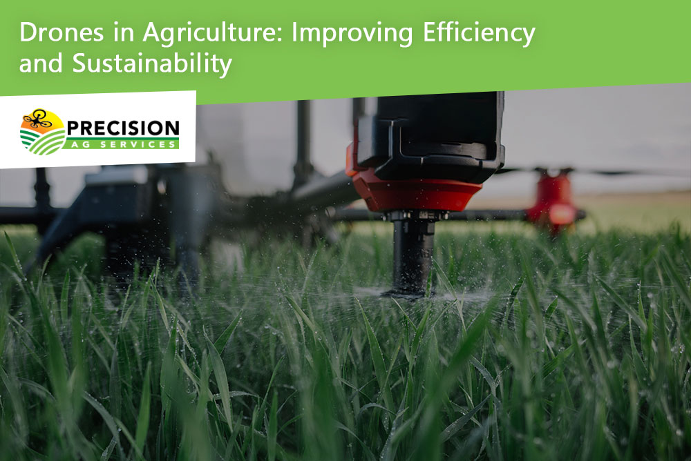 Drones in Agriculture Improving Efficiency and Sustainability