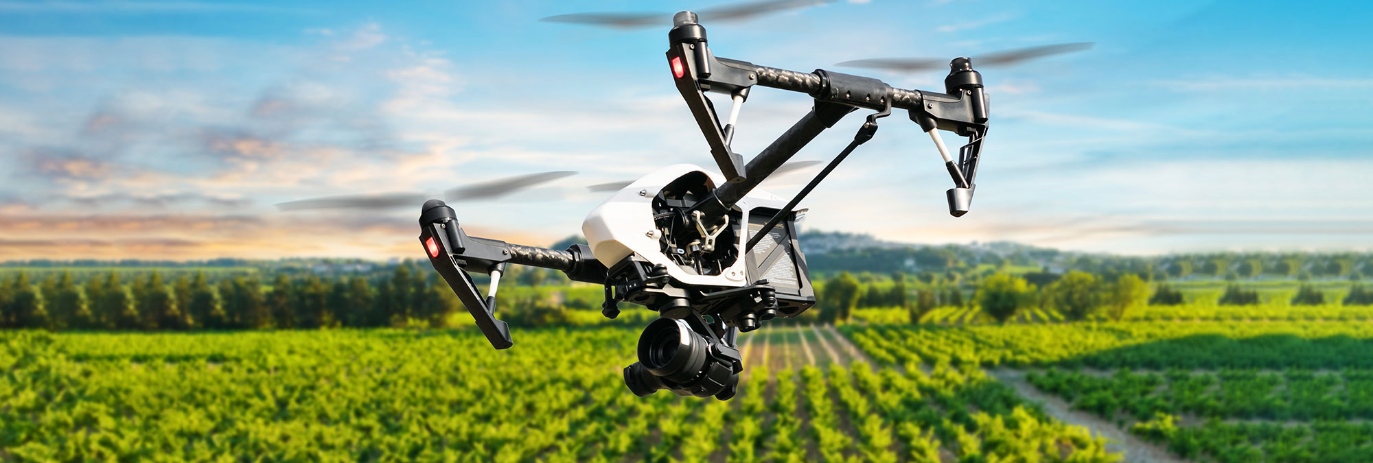 A Bird’s Eye View: Enhancing Crop Monitoring with Drones