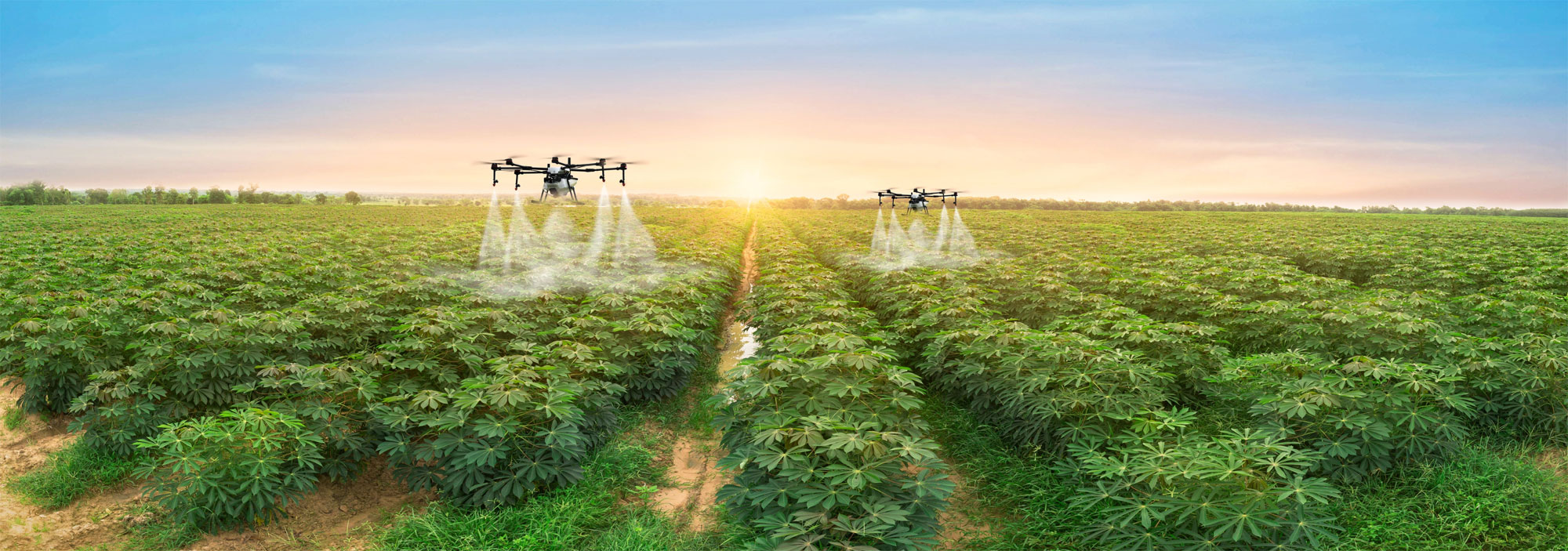 Farming in the 21st Century: The Role of Agricultural Drones