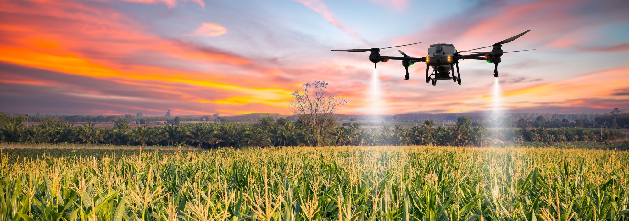 From Field to Flight: Harnessing the Power of Agricultural Drones