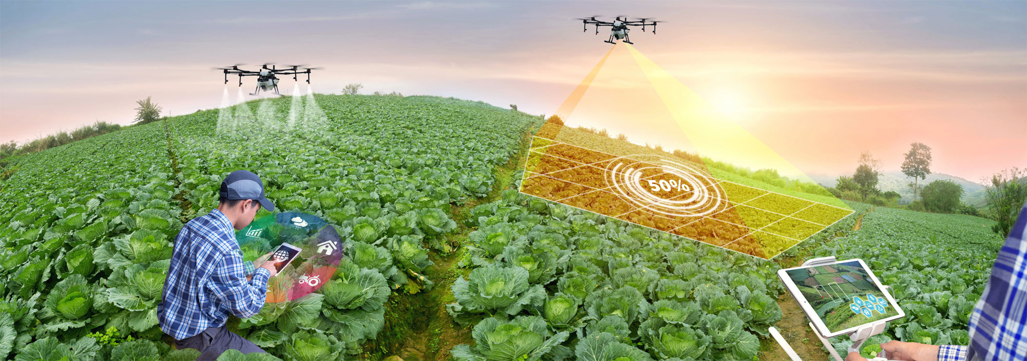 Taking Flight: The Impact of Drones on Modern Agriculture