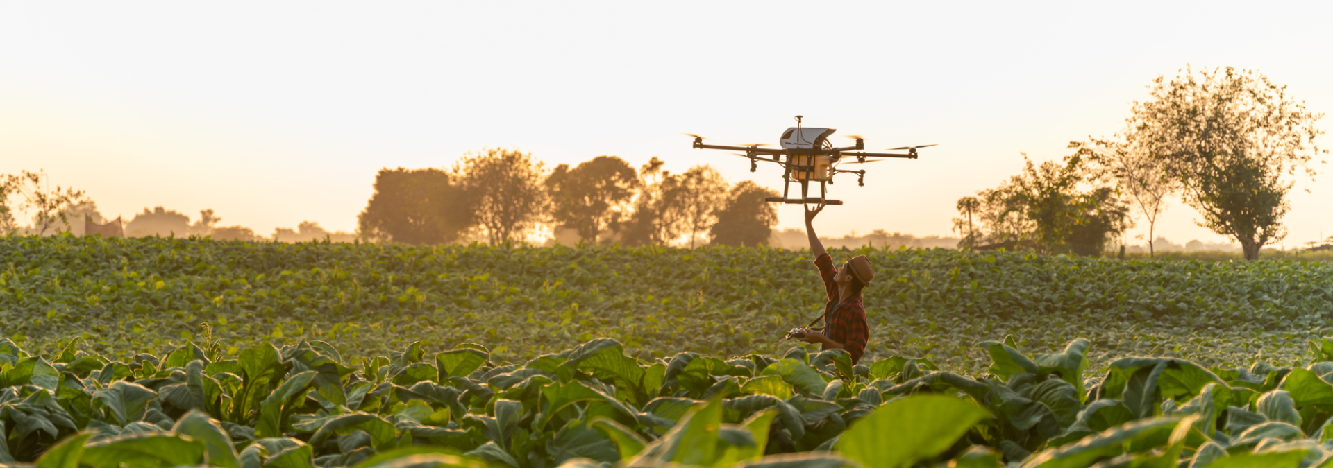 The Drone Advantage: Boosting Productivity in Agriculture