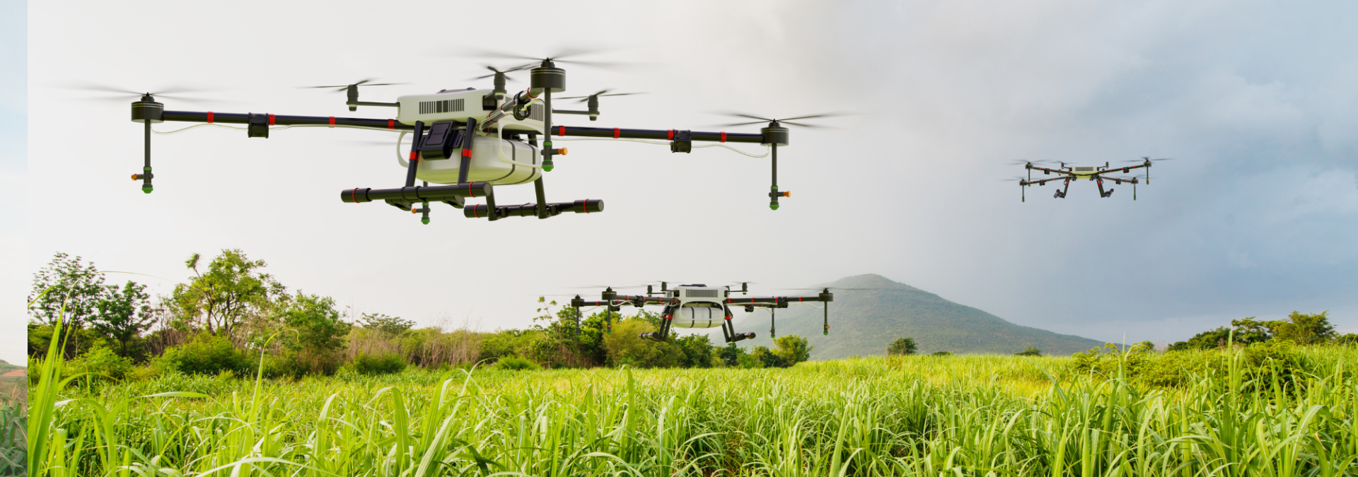 Revolutionising Farming with Precision Agriculture Drones