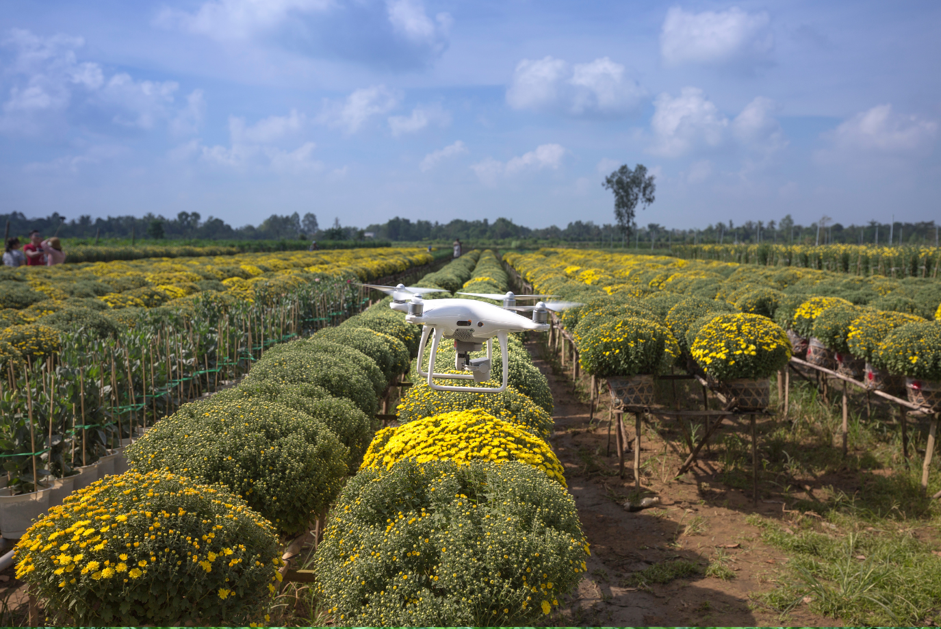 Aerial Agriculture: The Benefits of Using Drones in Farming