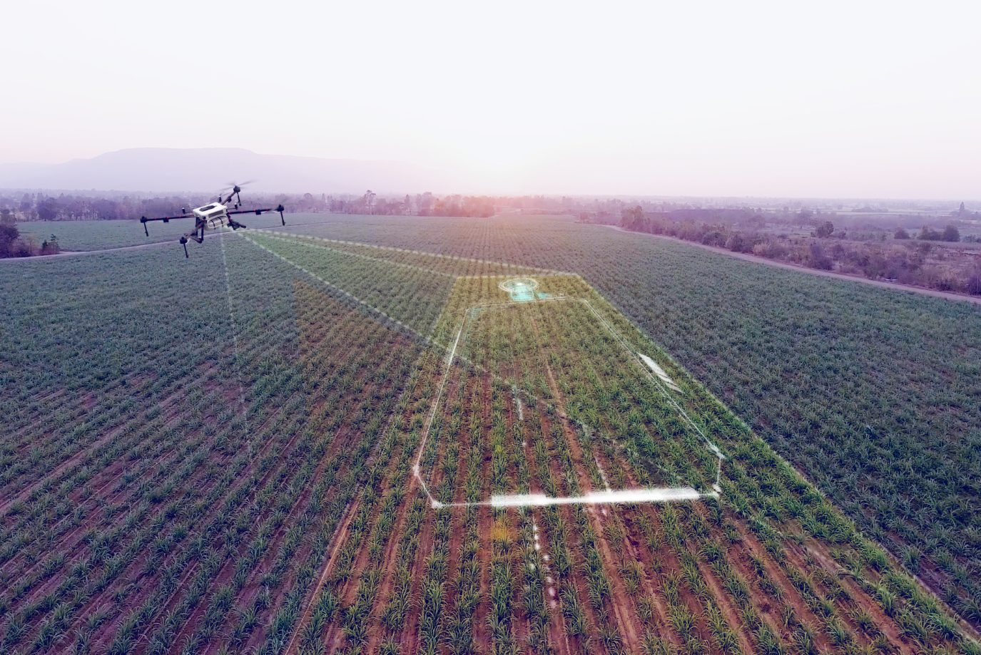 Sky-High Solutions: How Drones are Solving Agricultural Challenges