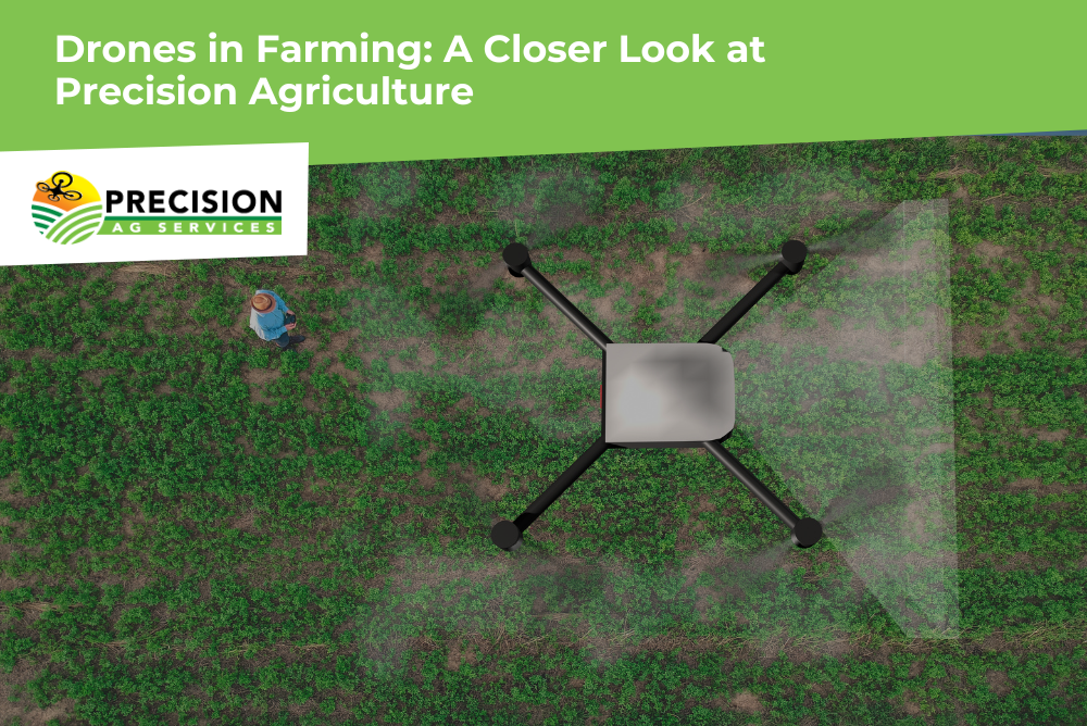 Drone surveying crops for precision agriculture.