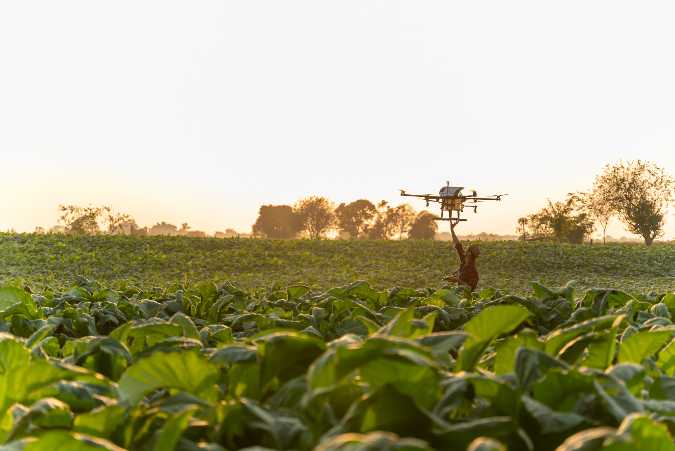 A New Perspective: Exploring Agricultural Drones