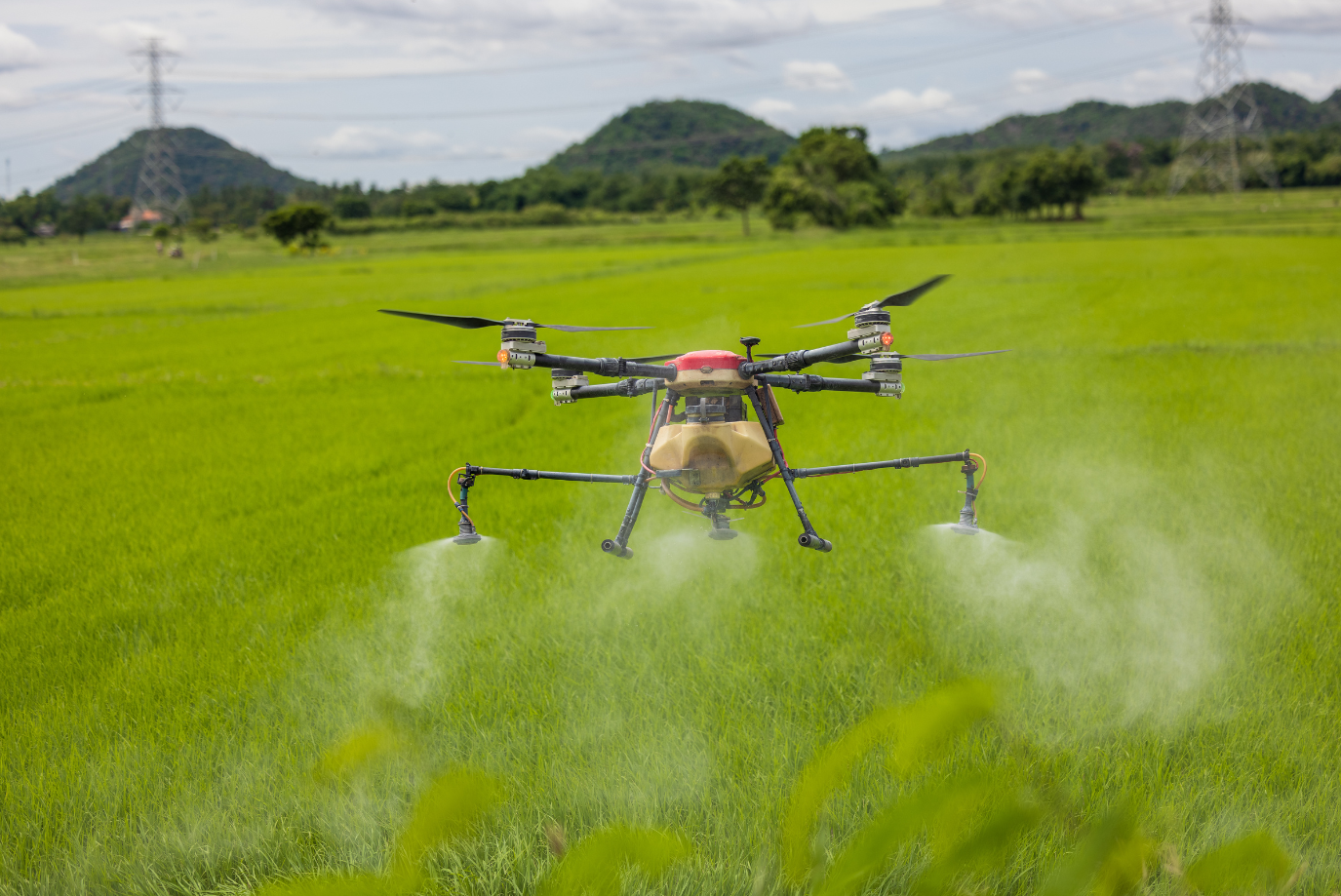 Advancing Agriculture: The Role of Drones in Farm Management