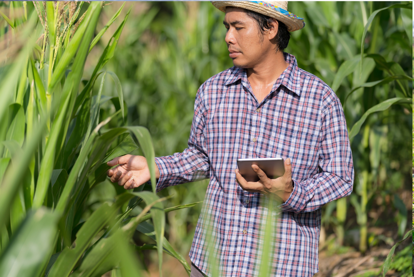 Innovations in Drone Technology for Smart Farming