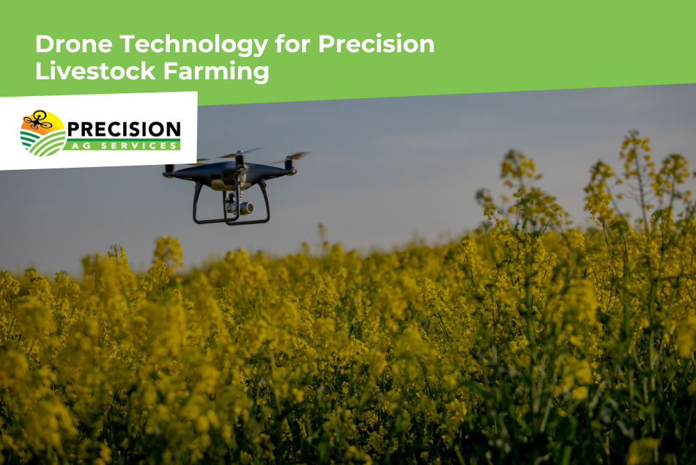 Drone monitoring livestock on a large farm to enhance animal health and farm efficiency.