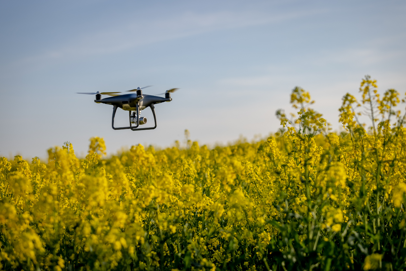 Drone Technology for Precision Livestock Farming