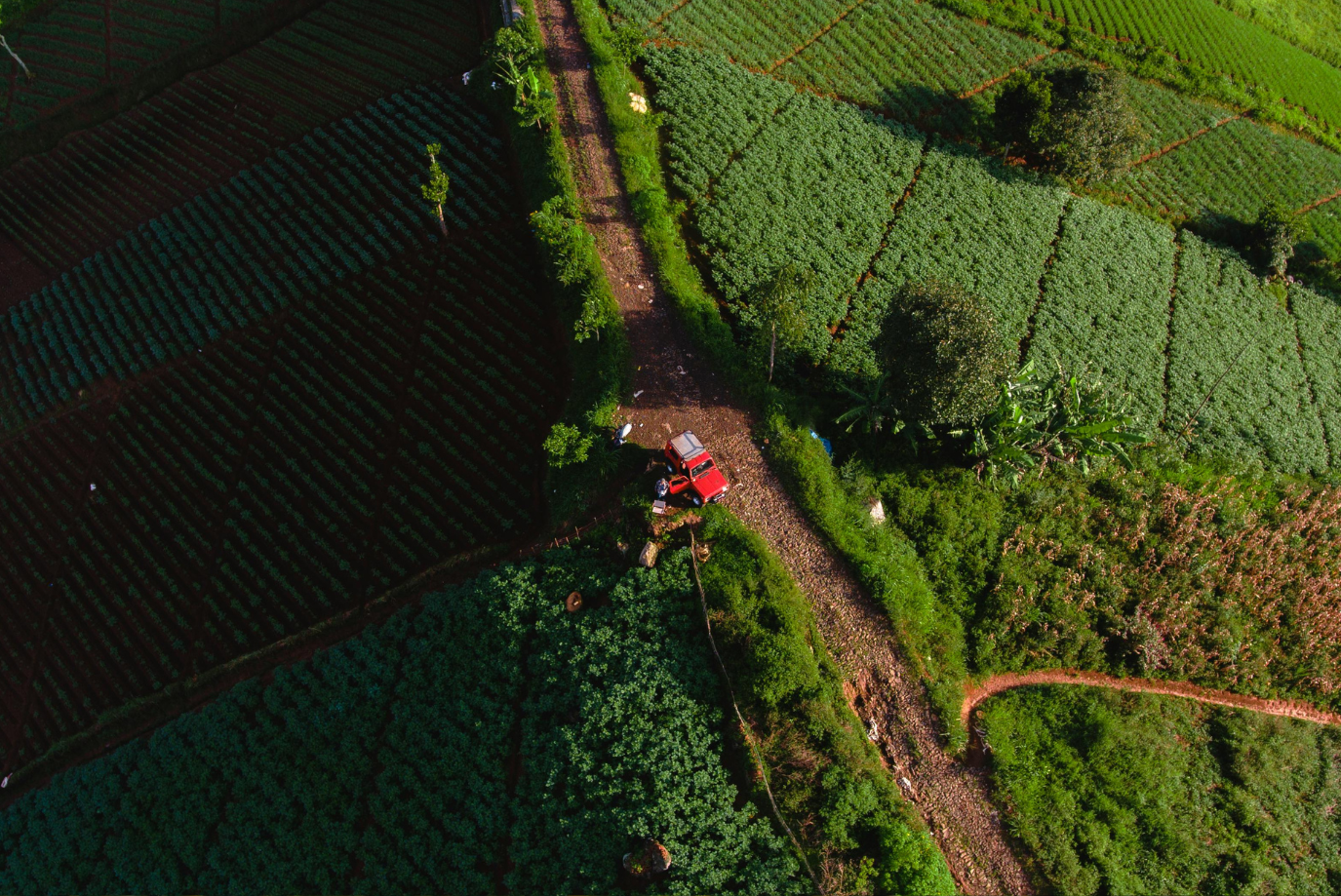 Top Challenges Facing Agricultural Drone Adoption