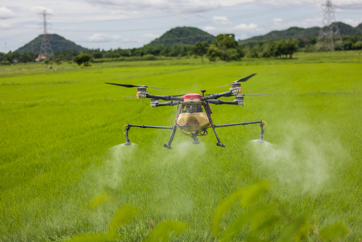 Drone-Based Solutions for Pest and Disease Management