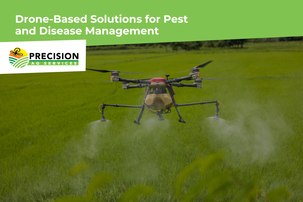 Agricultural drone spraying crops for pest and disease control across farmland.