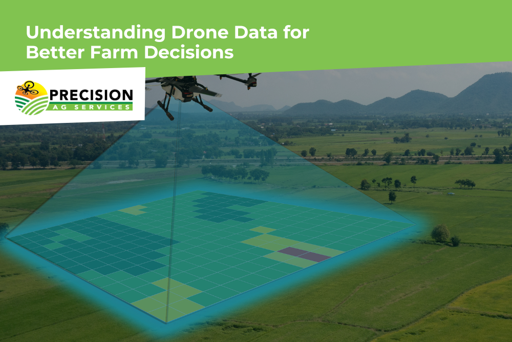 Farmer analyzing drone-collected crop data on a tablet for precision farming decisions.