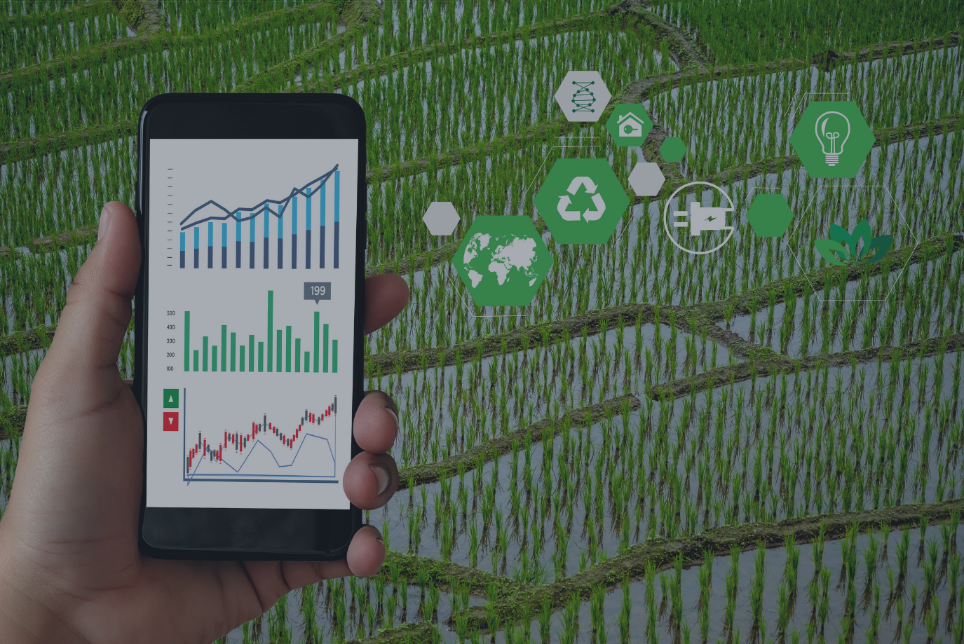 The Integration of AI with Agricultural Drones