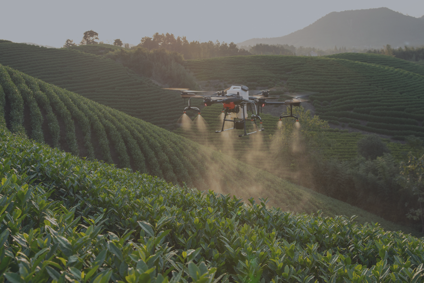 Choosing the Right Agricultural Drone for Your Farm: A Comprehensive Guide