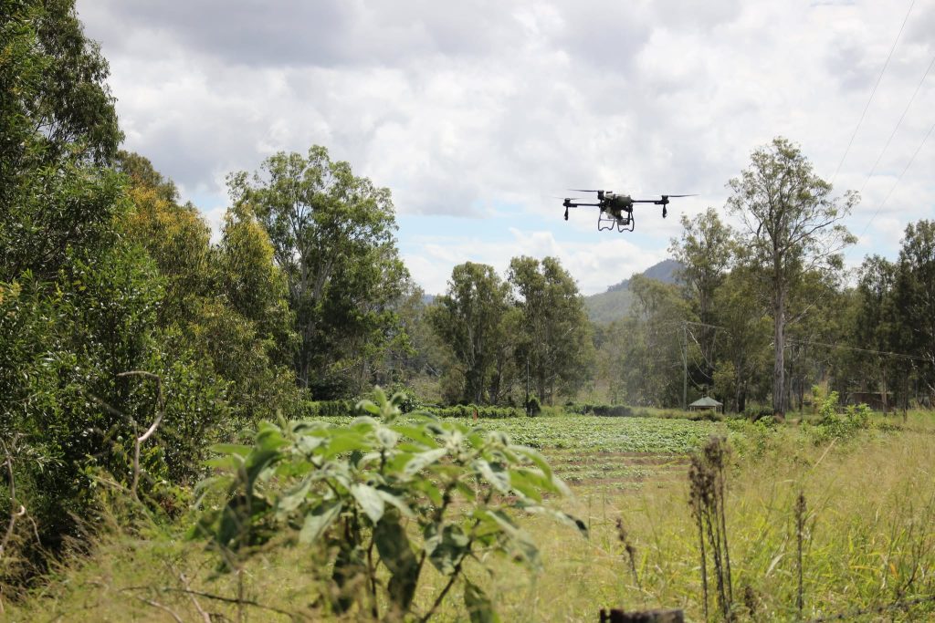 Spraying a crop in a hard-to-reach spot with a spray drone