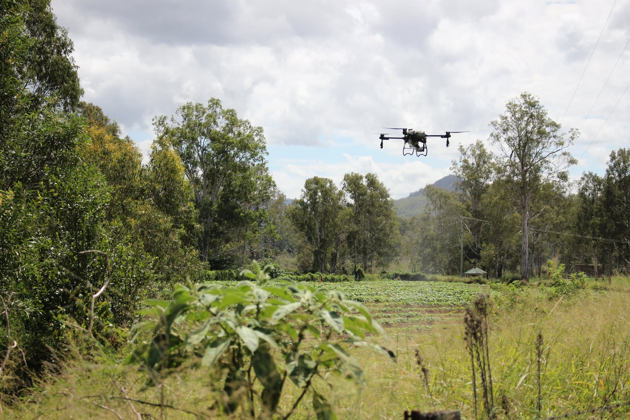 Spraying a crop in a hard-to-reach spot with a spray drone